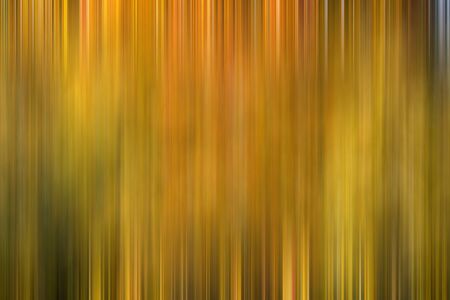 Abstract lines. Beautiful background
