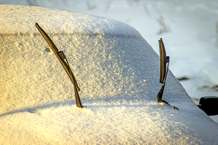 Cars covered with snowの写真素材