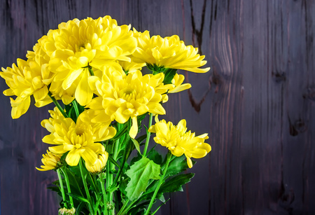 Yellow chrysanthemum flowers on a wooden tableの写真素材