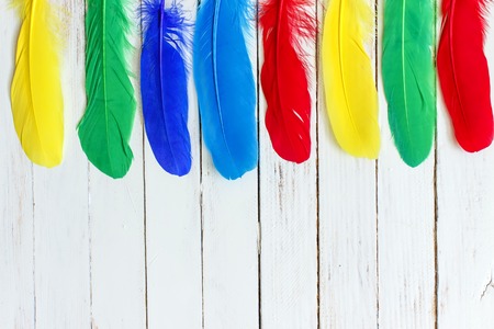 Beautiful multicolored feathers on a white wooden backgroundの写真素材