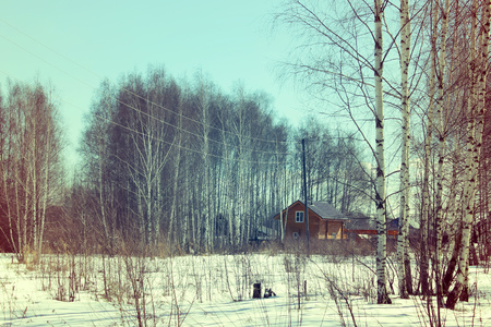Outskirts of the Russian countryside against the backdrop of birches. Spring, sunny landscape. Retro style.の写真素材