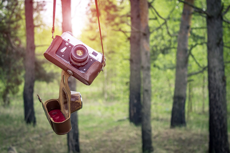 Old retro camera in forestの写真素材