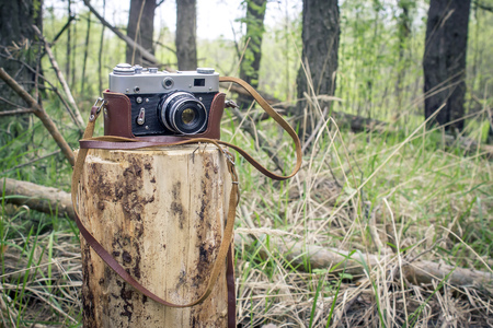Old retro camera in forestの写真素材