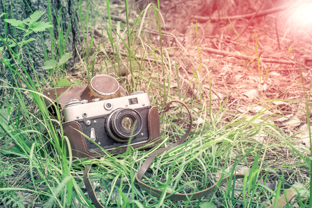 Old retro camera in forestの写真素材