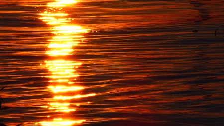 Reflection of the sun on the waves.の写真素材