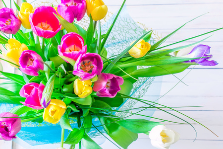 Bright various tulips on the white backgroundの写真素材