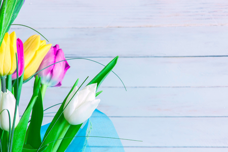 Bright various tulips on the white backgroundの写真素材