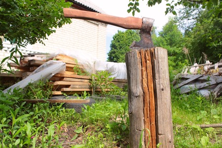 Old Axe stuck in treeの写真素材