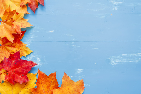 Autumn Thanksgiving Background. Place for text.