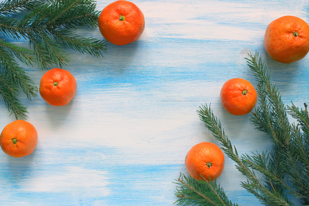 tangerines with spruce branches on a wooden background