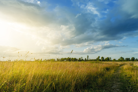 the summer rural landscape with sunrise and the roadの写真素材