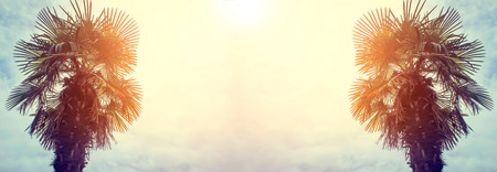 Palm trees against blue sky and sunlight, retro style.の写真素材