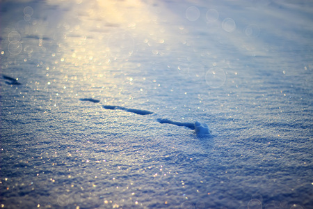 Winter background. Sparkling snow with bokehの写真素材