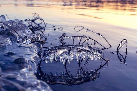 Grass in ice on the river. Winter landscape in Russiaの写真素材