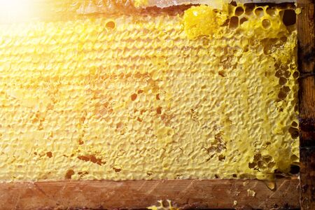 Sealed honeycomb background. Top view