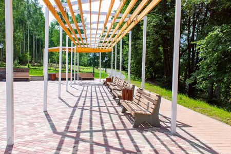 Empty benches in a summer deserted park in the summer. Self isolation mode. Coronavirusの写真素材