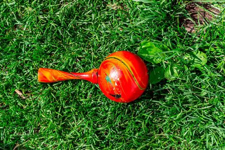 Mexican red maracas lie on the green grass. Traditional musical instrument made of natural materialsの写真素材