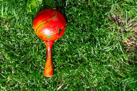 Mexican red maracas lie on the green grass. Traditional musical instrument made of natural materialsの写真素材