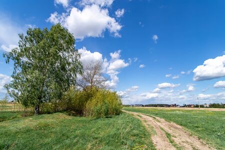Summer landscape with green grass. Field and clouds. Rural summer landscapeの写真素材