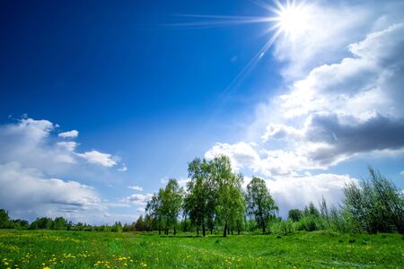 Summer landscape with green grass. Field and clouds. Rural summer landscapeの写真素材