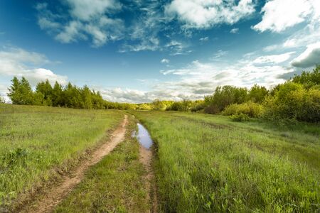 Road in the field among green grass and beautiful sky in the eveningの写真素材