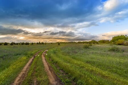 Road in the field among green grass and beautiful sky in the evening