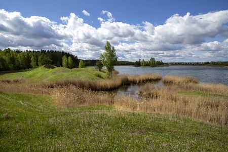 Beautiful forest lake on a sunny summer day.の写真素材