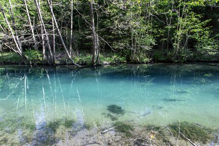 Forest river with clear water, beautiful landscape in Russiaの写真素材