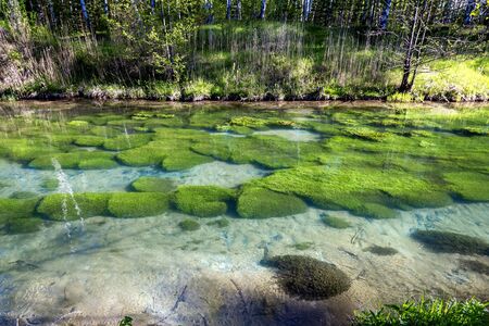 Forest river with clear water, beautiful landscape in Russiaの写真素材