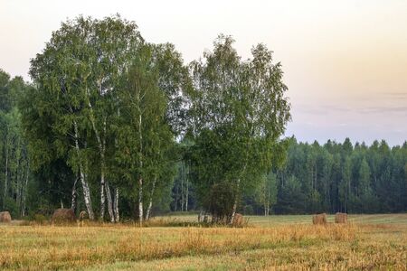 Straw bales on farmland on autumn sunriseの写真素材