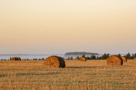 Straw bales on farmland on autumn sunriseの写真素材