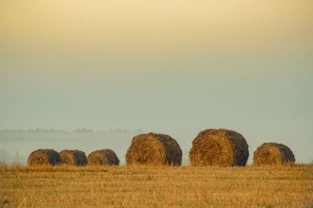 Straw bales on farmland on autumn sunriseの写真素材