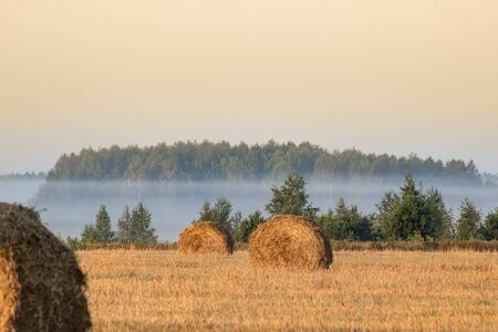 Straw bales on farmland on autumn sunriseの写真素材