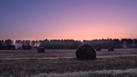 Straw bales on farmland on autumn sunriseの写真素材