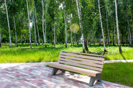 Empty wooden bench in the city park in summer dayの写真素材