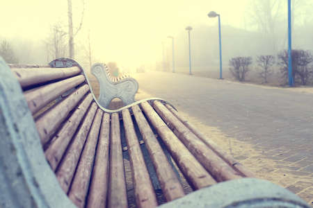 Empty wooden bench in the city park on the foggy morning