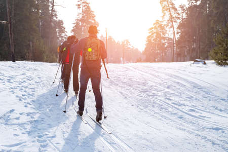 Group winter holidays on classic skis in the park in sunny day. Back viewの写真素材