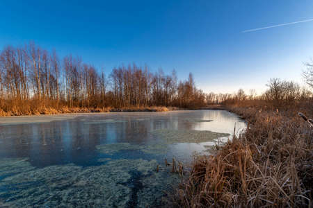 Cold sunny morning. Frozen lake on an autumn dayの写真素材