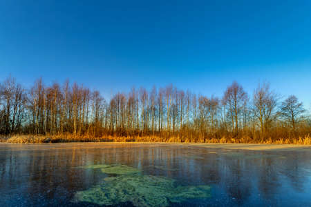 Cold sunny morning. Frozen lake on an autumn dayの写真素材