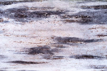 Wooden board white old style abstract backgroundの写真素材