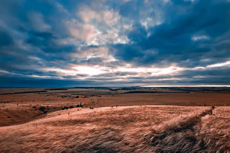 Dry grass against a dramatic autumn skyの写真素材