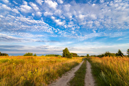 Road to the field and sky with clouds. Autumn and summer landscape.の写真素材