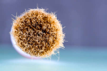 Bristles of a paint brush close up.の写真素材