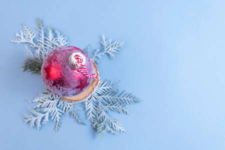 Thuja branches with a red Christmas ball on a blue background. Top view. Place for textの写真素材