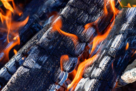 A picture of a flame of fire against a background of charred firewood. Bonfire. The concept of outdoor recreationの写真素材