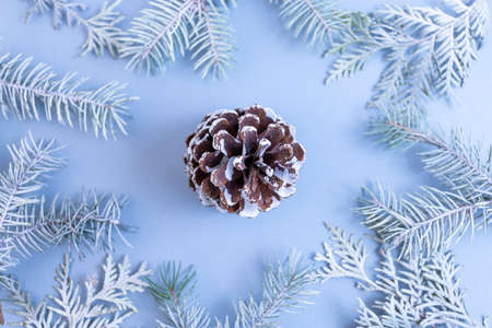 Top view on Christmas decoration with cedar cone, green thuja branches on blue backgroundの写真素材