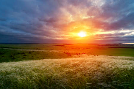 Dry grass against a dramatic autumn skyの写真素材