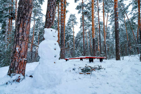 Snowman in a winter pine forest. Christmas and happy new year conceptの写真素材