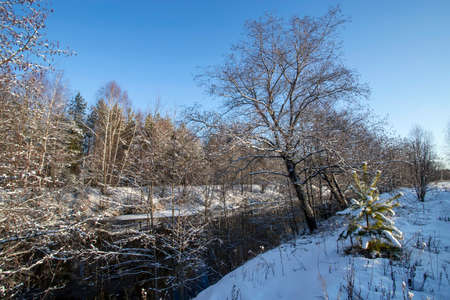 Landscape with winter forest and river. Sunrise, sunset in beautiful snowy forestの写真素材