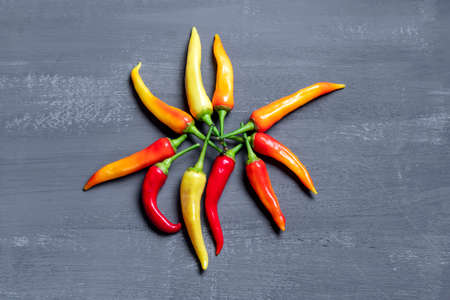 Variety of chili peppers. Red, green and yellow chili pepper on dark background top viewの写真素材